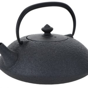 Muji:Tetera japonesa de hierro 650 ml